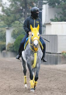 トウカイテイオーでダービー制覇、安田隆行調教師「騎手時代、調教師