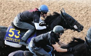 【天皇賞・秋1週前】コスモキュランダは美浦W3頭併せで追走し最後は先着6F83秒1―11秒6 G1初制覇へ丹内「違う一面を出せれば」