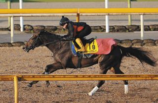 2000年のダービー馬アグネスフライトが老衰で死ぬ 26歳 ：中日スポーツ