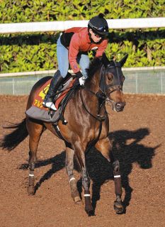 アーモンドアイが“世紀の一戦”ジャパンカップで有終の美…コン
