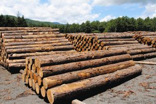 ＜わが街発見　南信・中信から＞　木曽地域カラマツ有効活用へプロジェクト