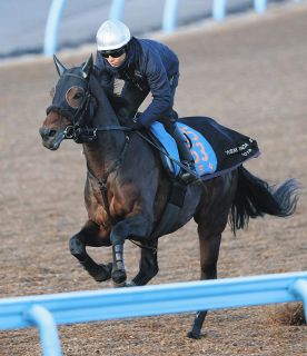 引退レースで感動Vのコントレイル、押し寄せる祝福メッセージに担当助手は対応大わらわ…一睡もできず：中日スポーツ・東京中日スポーツ