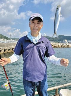 カワハギ時期尚早　小型１匹でウルメと遊ぶ　愛知・豊浜桟橋