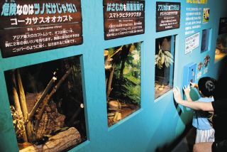 野生を生き抜く「超」能力　各務原市のアクア・トトぎふで野生生物のすごいパワー紹介
