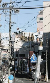 ムクドリ対策に効果抜群！？　長野・松本の玄関口で中電が対策工事