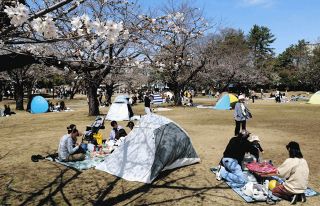 一足早い花見で春を実感　各務原市桜まつりがスタート、今週末見ごろ