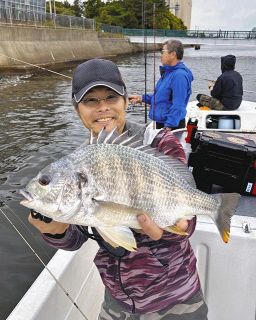 キビレ強引！　筆者の４４センチ頭に船中８匹　名古屋港ボート