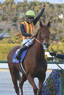 馬とアネモネｓ テウメッサは未勝利戦＆アネモネSから一転7枠13番と外め枠 金成師は意