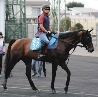 エルトンバローズ 競馬 ホースレーシング 西村敦也サイン入り G1