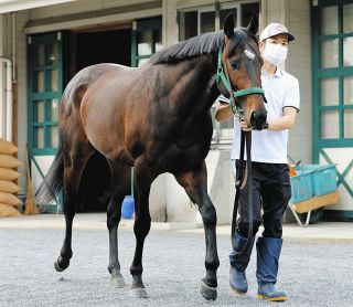 セレクトセール2025】ノームコア2024に4．1億円 金子真人HD（株）が