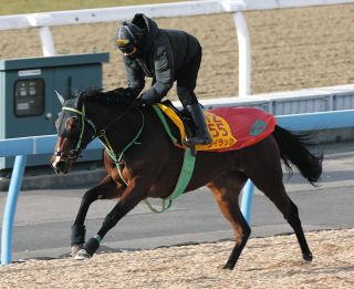 【競馬】シャフリヤール（2021年日本ダービー）ミニゼッケン／福永祐一／JRA 競馬］シャフリヤール（2021年日本ダービー）ミニゼッケン／福永祐一