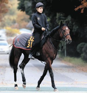2000年のダービー馬アグネスフライトが老衰で死ぬ 26歳 ：中日スポーツ