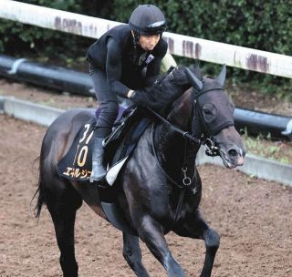 絆✨ジャスティンミラノ✨絆【デビューからクラシック軌跡】 皐月賞馬ジャスティンミラノが電撃引退、種牡馬に…友道師「長所