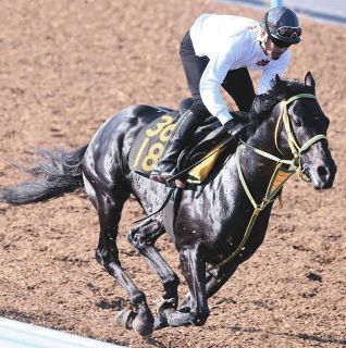 【ラジオNIKKEI賞展望】スプリングS2着のフクノブルーレイク中心、勢いなら2連勝中のトレサフィール