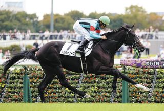 金鯱賞の主役狙う菊花賞馬ドゥレッツァ、仕上がりに不満なし 『勝っ