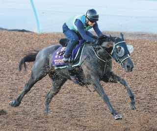 アーモンドアイが“世紀の一戦”ジャパンカップで有終の美…コン