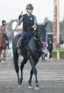 フォーエバーヤングが1番人気に応えて勝ち！ブリーダーズCクラシックへ