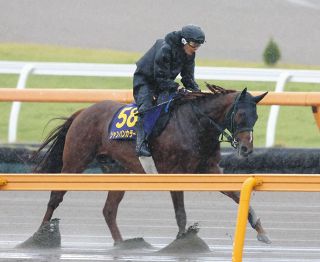 2002年皐月賞馬、ノーリーズン死す 25歳 通算12戦3勝：中日スポーツ