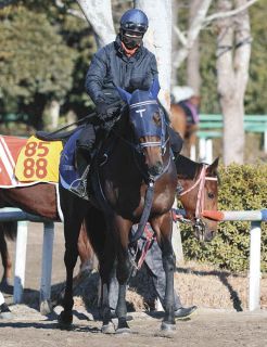 コントレイル産駒、5億2000万円のハンマー！ノースヒルズが譲らず競り