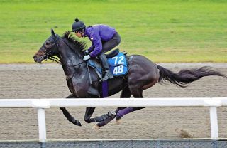 セレシオン、軽快追い切り「気持ちの面の問題を解消できた」友道師、メンタル面の成長に手応え【競馬】
