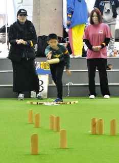 九谷焼 海部公子 鹿デザイン カップとソーサー １客 専用箱 サイン 経歴書 故海部さん 色絵磁器に息吹 加賀・硲伊之助美術館で遺作展：北陸中日