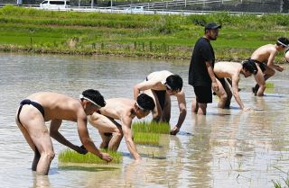 ふんどし姿で田植え「開放的で楽しい」　愛知・東郷町で体験イベント
