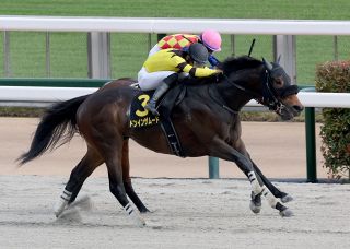 日本を世界を沸かせた大逃げ』パンサラッサ、23日、中山レース終了後に