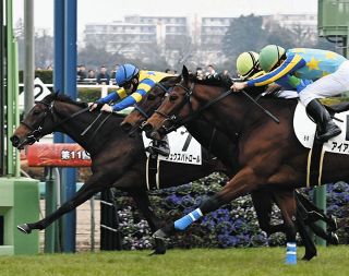【新品未使用】ユニコーンライオン 鳴尾記念 キャップ 競馬グッズ 競馬 M&L ウィングユニコーン ヘアクリップセット(4個) | For Rider 人装品