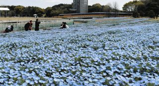 4年ぶり「竜神の舞」 浜松・佐久間ダムで祭り：中日新聞しずおかWeb