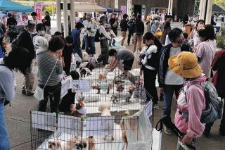 年100～150匹の保護犬をマッチング　亀山のルピナス、毎週のように譲渡会開催
