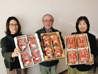 恵那のイチゴを味わって　生産組合、市役所で出荷状況を報告