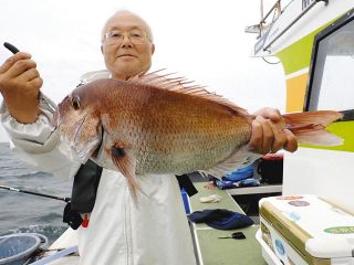 ウタセマダイ盛期　カンパチなどゲスト交え　三重・鳥羽国崎出船