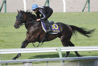 阪神JF】12番人気が大激走！2着シンリョクカ 殊勲の木幡初