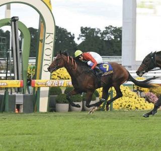 【菊花賞】武豊騎乗の3番人気ゴーイントゥスカイがG1初勝利飾る　ロブチェン14着惨敗で三冠ならず