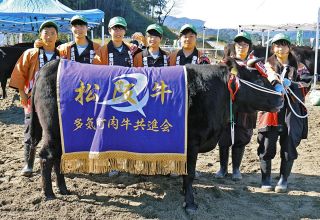 相可高の「わかみのり」が優秀1席　多気町肉牛共進会、最高500万円で落札