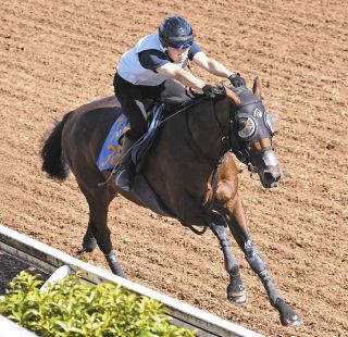 武豊インタビュー「やっぱりサイレンススズカの金鯱賞は衝撃的だった