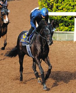 03年スティルインラブ以来の「紅梅S＆桜花賞」W勝利へ…成長中の