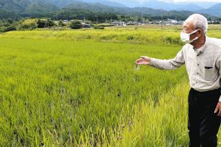 農地の担い手不足、営農先進地でも深刻化　長野県知事選挙を前に県内の課題を考える