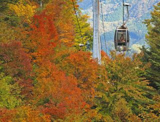 「どの標高でも紅葉楽しめる」　長野県阿智村のヘブンスそのはらで見頃に
