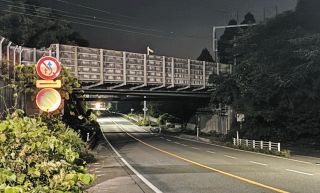 額付　田家阿希雄　水墨画　バレリーナ　８号 絵画の墨彩画で田家阿希雄が描いた和の絵「うれしい、うれしい