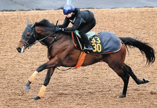 日本を世界を沸かせた大逃げ』パンサラッサ、23日、中山レース終了後に