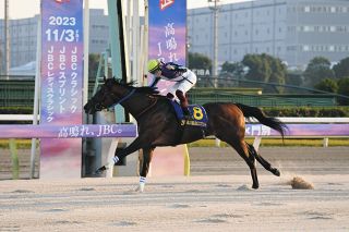 ディープインパクトは落札価格7350万円が種牡馬の価値は51億円に