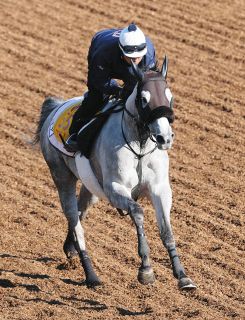 2000年のダービー馬アグネスフライトが老衰で死ぬ 26歳 ：中日スポーツ