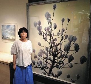 天に向かって咲くようなモクレン　名古屋で「花と空」題材の絵画展