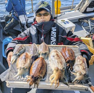 肉厚コウイカ堪能　愛知・南知多片名出船　
