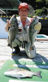 年なし３連発　三重県南伊勢町・神前浦カセ