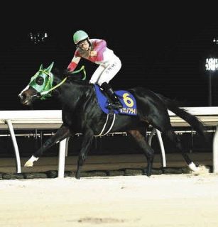 JRA】2026年度顕彰者に蛯名正義元騎手を選出 G1勝利数26回、JRA通算
