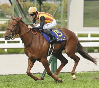 競馬】ジャスティンパレス、10戦連続G1出走の人気馬が28日の有馬記念で