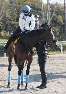 アーモンドアイが“世紀の一戦”ジャパンカップで有終の美…コン