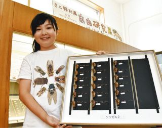竹原文楽の創始者、洞奥さん制作のひな人形展示 岐阜・恵那：中日新聞Web
